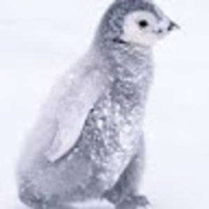 Meet your Posher, Colton